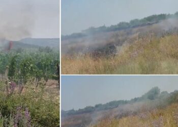 Shkrumbohen 10 hektarë pyje në Krujë, dyshohet se është i qëllimshëm
