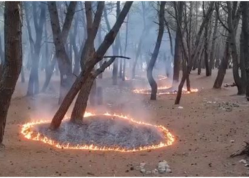 Shqipëria vijon betejën me flakët: 14 vatra u raportuan gjatë 24 orëve të fundit! Vetëm 2 janë aktive