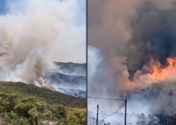 Zjarr i madh/  Flakët shumë afër shtëpive, urdhër për evakuim në shtetin fqinj