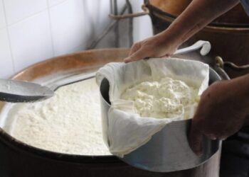 Ministrja Krifca: Do mbrojmë me akte ligjore produktet shqiptare të origjinës, ja i pari që regjistrohet