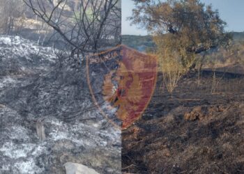 Ndezi zjarr në tokën e tij dhe morën flakë pronat e banorëve të tjerë, arrestohet 66-vjeçari