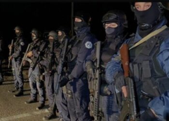 VIDEO/ Momenti kur qëllohet me armë ndaj policisë së Kosovës në pikën kufitare në Bërnjak