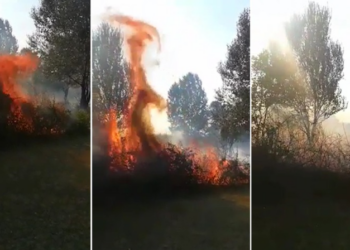 Zjarr i madh në Nikël, flakët po përhapen me shpejtësi, rrezikohen banesat