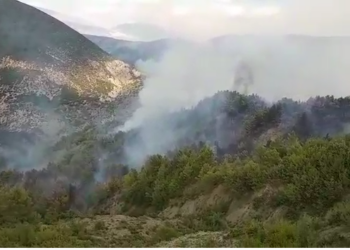 Zjarr i qëllimshëm në Shpirag/ Digjen pisha e dëllinja, ndërhyrja është e vështirë