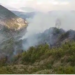 Zjarr i qëllimshëm në Shpirag/ Digjen pisha e dëllinja, ndërhyrja është e vështirë