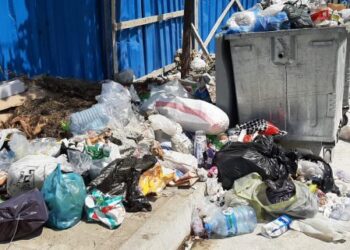 FOTO / Vlora e mbushur me plehra në pikun e sezonit, gjobitet kryebashkiaku Dritan Leli
