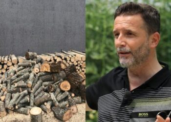 “Mos u bëni qesharakë”/ Braçe shpërthen ndaj rritjes së çmimit të druve: E kanë çuar 7000 lekë