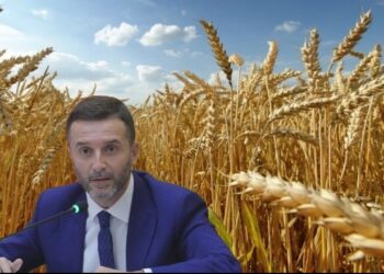 “Procesi burokratik, por gjithsesi e rëndësishme…”/ Braçe për rimbursimin e fermerëve për mbjelljen e grurit: Dokumentet që duhet të dorëzoni