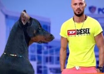“A je gango ti?”/ Pas sherrit me Noizy-n, e pëson keq Cllevio, publikohen pamjet e trishta që po thyejnë rrjetin