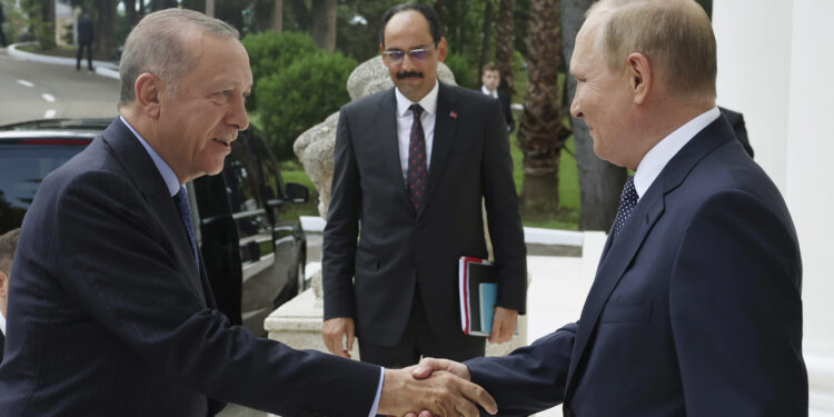 Russian President Vladimir Putin welcomes Turkish President Recep Tayyip Erdoğan prior to their meeting in Sochi, Russia, on Friday, August 5. (Turkish Presidency/AP)
