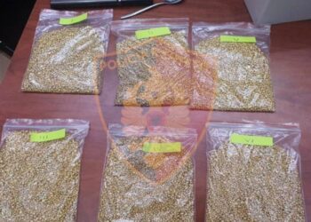 Arrestohen “gjyshërit” italianë në Elbasan, prej muajsh u shisnin flori të rremë argjendarive