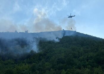 Situata e zjarreve në vend, fillon ndërhyrja nga ajri në Selenicë/ Peleshi thirrje banorëve: Evakuohuni nëse ju kërkohet nga autoritetet
