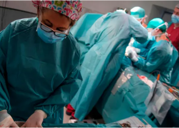 Publikohet studimi revolucionar: Organet e derrit ringjallen një orë pas vdekjes