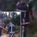 VIDEO/ ‘Çmendet’ moti, bën namin në Divjakë, rrëzon pemët në rrugë dhe…