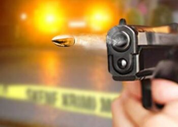 U zunë për një lopë/ Qëllon me armë komshiun në Kurbin, arrestohet autori