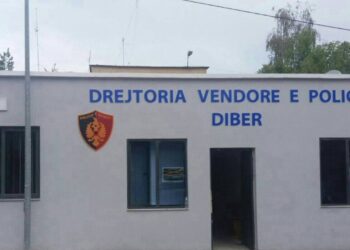 I vodhën me dhunë para dhe sende personale në banesë qytetares, arrestohen 2 vëllezërit