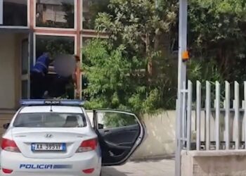 “Seven” i vihet nga pas 22-vjeçarit që vidhte ç’të gjente! Nga qentë e gjahut te kondicionerët…