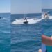 VIDEO / Bllokohen 3 “Jet ski” në Shëngjin, gjobë drejtuesve për mungesë dokumentacioni