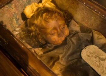 FOTO/ Zbulohet misteri: 102 vite e balsamosur, vajza “hap e mbyll sytë”?