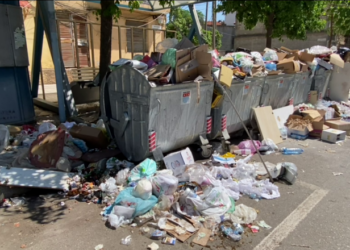 Shkodra mbulohet nga plehrat; Prefektura i lë 24 orë kohë Bashkisë për të zgjidhur problemin