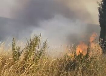 Zjarr në kodrat e Shën e Premte të Divjakës, flakët përfshijnë sipërfaqe prej 20 ha me ullinj dhe shkurre