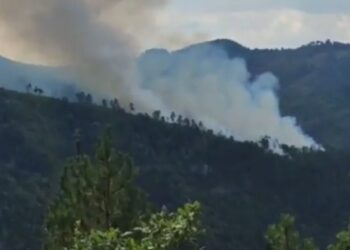 Zjarr në kufirin midis Shqipërisë dhe Greqisë, flakët po favorizohen nga era