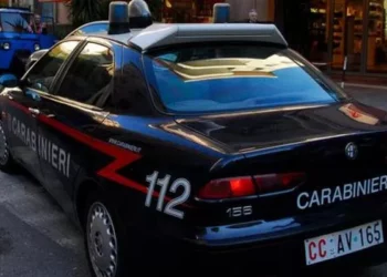 ‘Dua që të mësoj të vërtetën’, vajza 12-vjeçare shqiptare gjendet e vdekur në kopshtin e banesës
