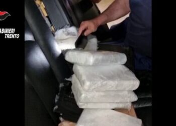 8 shqiptarë të arrestuar për drogë në operacion në Itali, Belgjikë e Holandë
