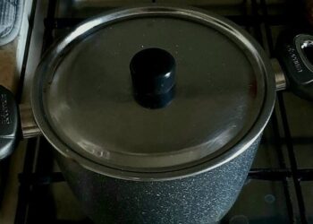 Kriza energjetike/ Fizikanti: Ju tregoj si ti gatuani makaronat me sobë të fikur!