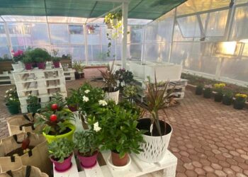 Platforma Smile mundëson ndërtimin e “Serës për fëmijët me aftësi ndryshe” të shkollës Luigj Gurakuqi