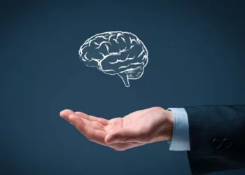 Testi ndërkombëtar i IQ/ Cilat janë shtetet me inteligjencën më të lartë në vitin 2022?