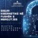 Akademia e FA çel programin e ciklit të dytë të studimeve, Master në Siguri Kibernetike, Peleshi: Një nga fushat më të lakmuara