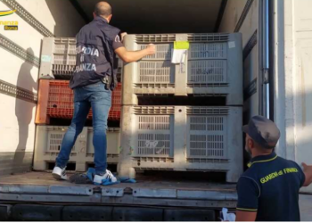 Ndodh dhe në Romë/ Drogë me vlerë 2.5 milionë euro mes arkave me kafe, lëvizjet e dyshimta i çojnë trafikantët “në duart” e policisë