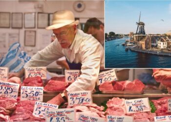 Qyteti europian, i pari në botë që ndalon reklamat e produkteve të mishit