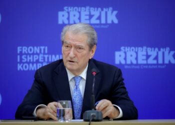 Sulmi kibernetik / Berisha: Akt zuzar, nisi me e-Albania dhe u shtri dje me Gjendjen Civile