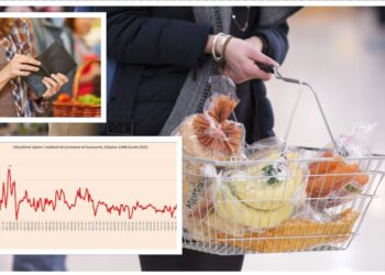 Rritja e çmimeve nuk ndalet/ Shkon në 8% inflacioni për muajin gusht