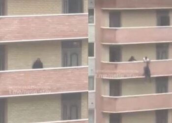 VIDEO/ U përpoq të hidhej nga ballkoni 36 metra i lartë, por kapet nga fqinj dhe…!