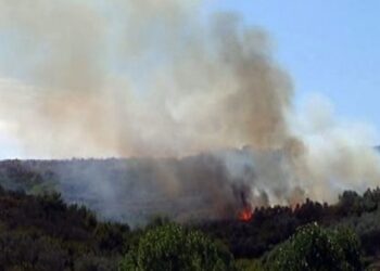 Ksamil/ Zjarr në ullishtat brenda parkut të Butrintit, dy zjarrfikëse nisen nga Saranda