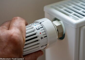 “Daily Mail”/ Zvicra paralajmëron gjobë deri në burg për këdo që përdor ngrohjen mbi 19 gradë këtë dimër