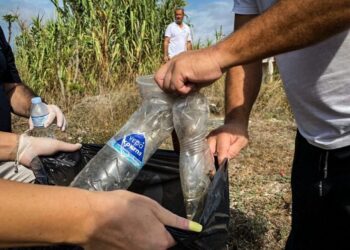 Dita Botërore e Pastrimit/ Organizata Botërore vlerëson Shqipërinë: Punë e mahnitshme