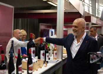 Rama publikon fotot nga eventi: Vera shqiptare fiton12 medalje në Panairin që u zhvillua në zemër të Serbisë