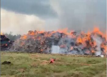 VIDEO/ Rrufeja godet ushqimin e mbledhur për bagëtitë në Fier, dëm i madh ekonomik për dy vëllezërit