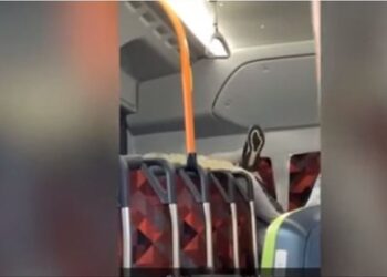 VIDEO/ Çifti filmohet duke bërë seks në autobus, shokohen pasagjerët