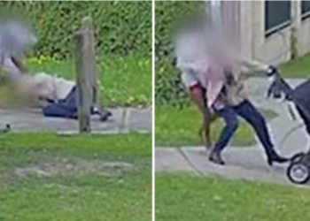 VIDEO/ Nëna shtatzënë sulmohet nga 15-vjeçarja në park teksa shëtiste fëmijët, adoleshentja e tërheq zvarrë prej flokësh