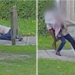 VIDEO/ Nëna shtatzënë sulmohet nga 15-vjeçarja në park teksa shëtiste fëmijët, adoleshentja e tërheq zvarrë prej flokësh