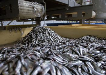 Emri/ Nga shpërthimi i punishtes së konservave në Janinë, ndahet dhe një shqiptar