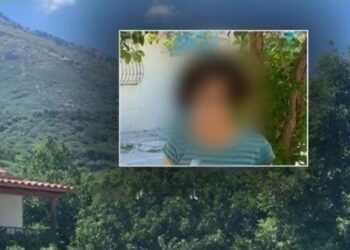 Grabitja ‘terror’ në Selenicë, rrëfehet nëna: Autori përdhunoi vajzën 17 vjeçe, tentoi edhe me mua