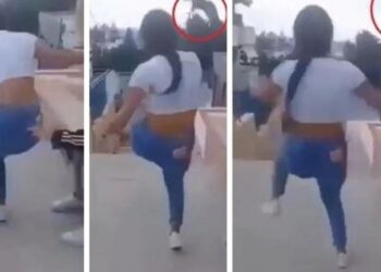 VIDEO/ 15-vjeçarja gjobitet me 5 mijë euro. Shkelmoi macen dhe e hodhi disa metra në ajër