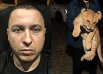 ‘A i keni çuar ushqim”/ Ky është luani i Vis Martinajt dhe mesazhi i fundit që i ka dërguar familjes para zhdukjes (FOTO)