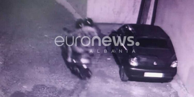 Vrasja e 19-vjeçarit në Shkodër, ja pamja e autorëve që largohen me motoçikletë